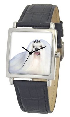 American Kennel Club D1808S015 Maltese Silver-Tone Black Leather