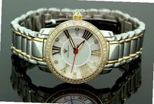 Ladies Classic Diamond Aqua Master Two Tone w319d