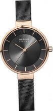 Bering solar 14631-166