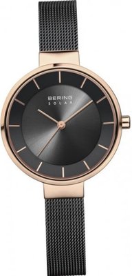 Bering solar 14631-166