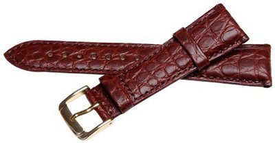 Bernex Regent M Unisex Brown Buckle Pin of 2.0cm GB42360