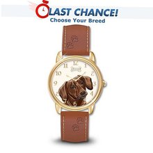 Loyal Companion Dog Themed With Leather Band