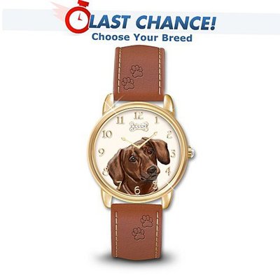 Loyal Companion Dog Themed With Leather Band