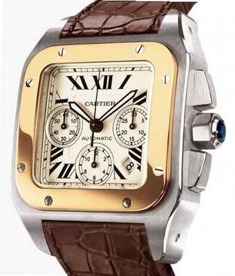 Cartier Santos Cartier Santos 100