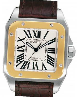 Cartier Santos Cartier Santos 100
