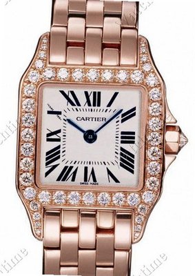 Cartier Santos Cartier Santos Demoiselle