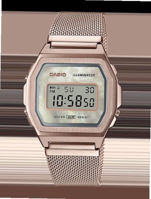 Casio A1000MCG-9E