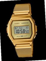 Casio A1000MG-9E