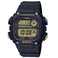 Casio DW-291