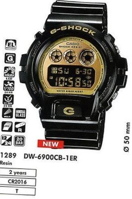 Casio DW-6900CB-1ER