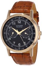 Citizen AO9003-08E Eco-Drive Rose Gold Tone Day-Date