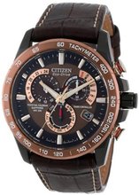 Citizen AT4006-06X Eco-Drive Perpetual Chrono A-T Atomic Clock Synchronization