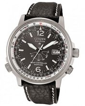 Citizen Promaster Promaster Pilot