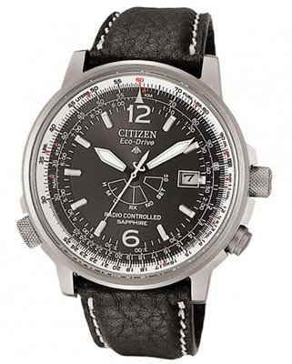 Citizen Promaster Promaster Pilot