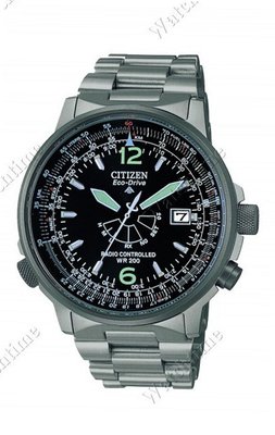 Citizen Promaster Promaster Pilot