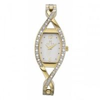Clyda CLG0093HABW Analog Quartz with White Dial and Golden Stainless Steel Bracelet