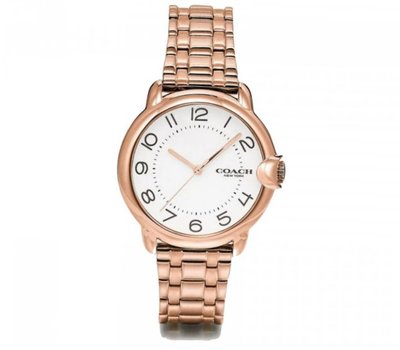 Coach 36mm