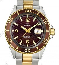 Delma Santiago Santiago Automatic