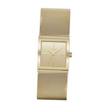 DKNY Mirror Dial Steel Mesh - Gold-Tone #NY2113