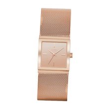 DKNY Mirror Dial Steel Mesh - Rose-Gold-Tone #NY2114