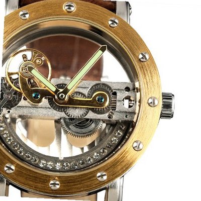 ESS Golden Case Skeleton Dial Antique Self-Wind Up Mechanical Automatic WM319-1
