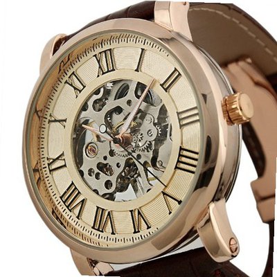 ESS Skeleton Roman Numerals Brown Leather Strap Semi-Automatic Vintage Mechanical WM273-ESS