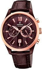 Festina F169991
