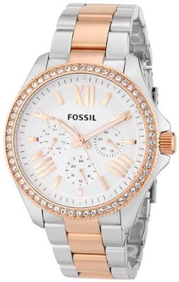 Fossil AM4496 Cecile Analog Display Analog Quartz Gold
