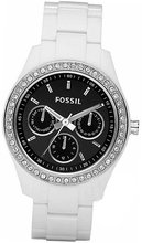 Fossil Boyfriend ES2669