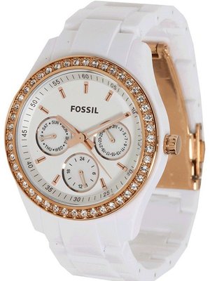 Fossil Boyfriend ES2869