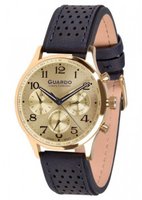 Guardo S01605