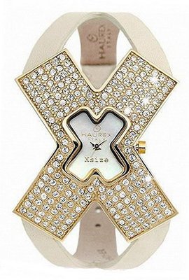 Haurex Xsize FY231DCM