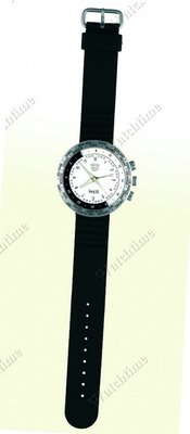 Ikepod Seaslug Seaslug Alarm