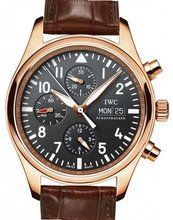 IWC Pilot