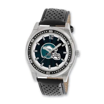 NFL Philadelphia Eagles Championship