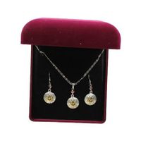 Lightning Ridge 30256 Horseshoe Star Concho Jewelry Set Silver/Gold