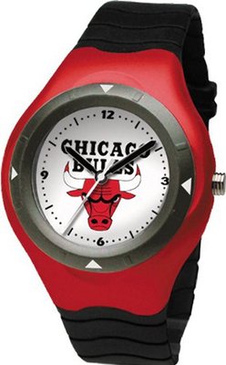 Chicago Bulls Prospect