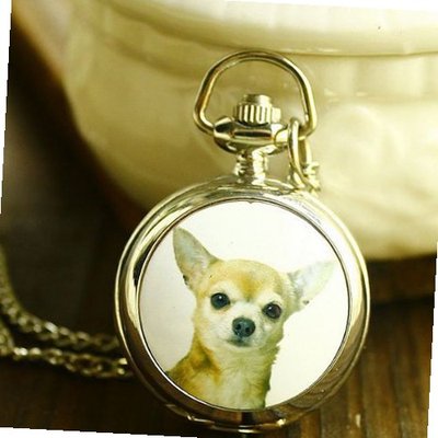 Fashion and Casual Chihuahua Decorated Pocket