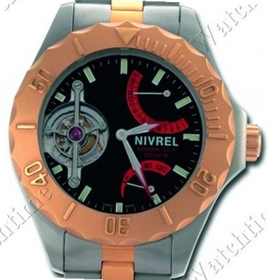 Nivrel Diving es Shark Sea