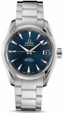 Omega Aqua Terra 231.10.39.21.03.001