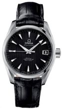 Omega Aqua Terra Automatic 231.13.39.21.01.001