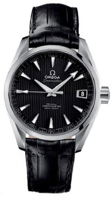 Omega Aqua Terra Automatic 231.13.39.21.01.001