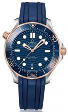 Omega seamaster diver 300m 21022422003002