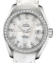 Omega Seamaster Seamaster Aqua Terra Automatic