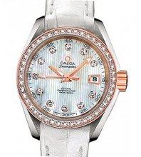 Omega Seamaster Seamaster Aqua Terra Co-Axial