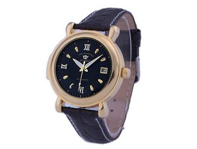 Ouyawei Black Dial Black Leather Strap Golden Round Mechanical es