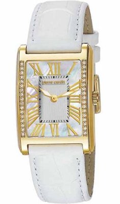 Pierre Cardin PC105172F02