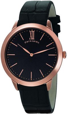 Pierre Cardin PC105311F04