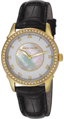 Pierre Cardin PC106062F06