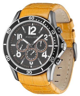 Police Theory 12738JSUS/02A